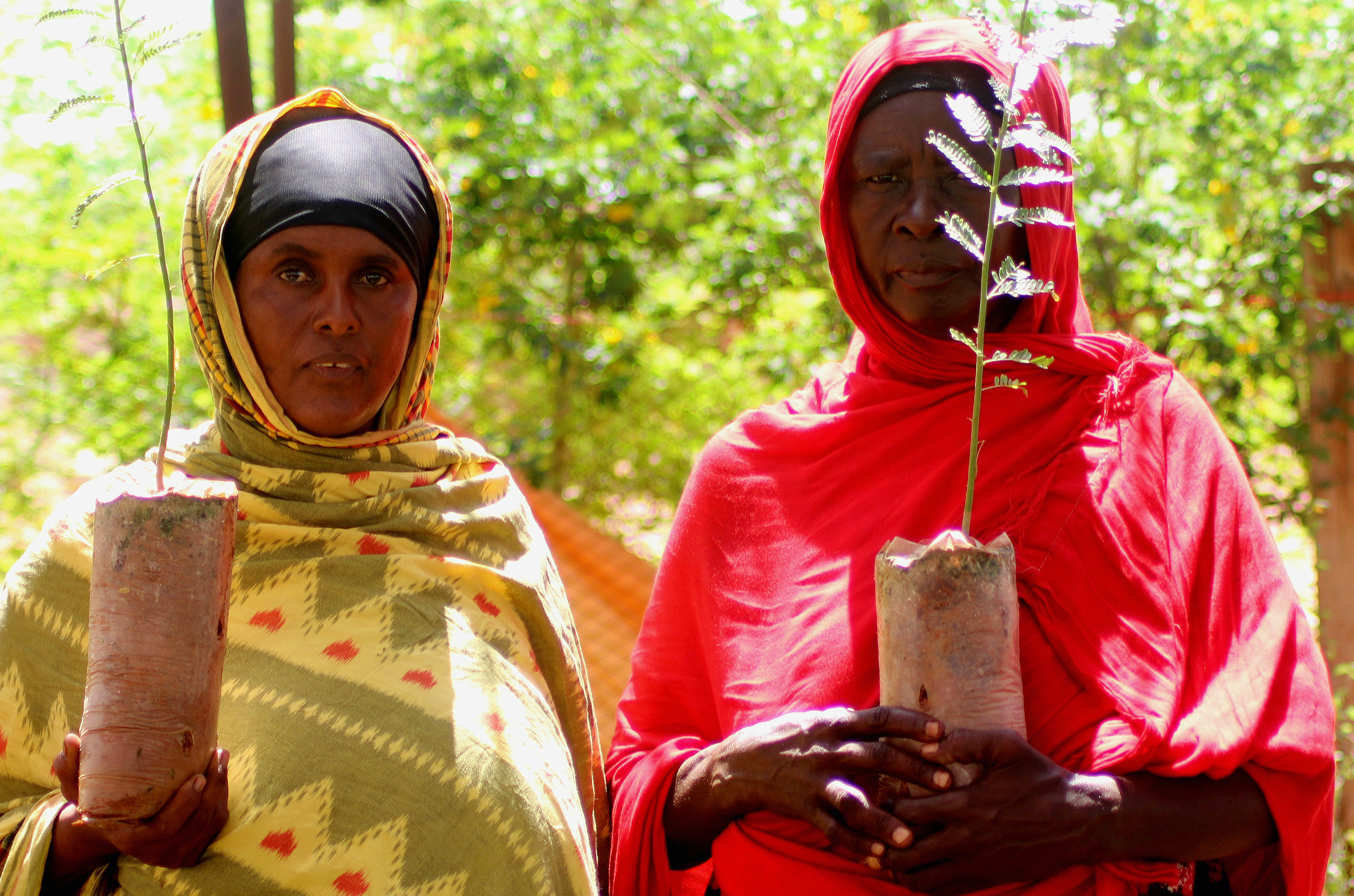 Two women holding tree seedlings with green trees in the background